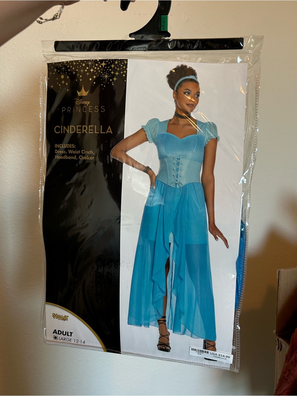 Spirit Blue Cinderella-Inspired Sheer Costume Dress
